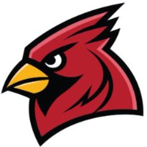 Maroon Cardinal with yellow beak looking to the left